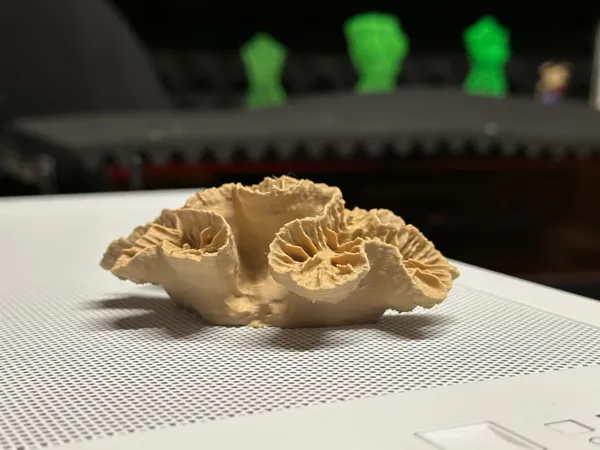 https://makerworld.bblmw.com/makerworld/model/USe6b2409644f9c2/design/2026-01-12_4bfa72bcd5d7c8.jpg