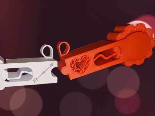 https://makerworld.bblmw.com/makerworld/model/USe6b93695c974f6/design/2025-01-20_57d9ce8344cea.jpg