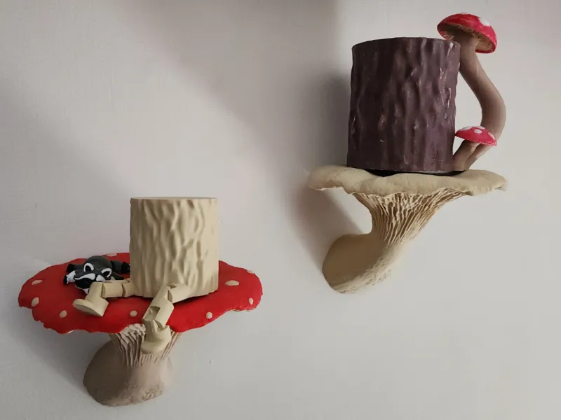 Mushroom Shelves!!!