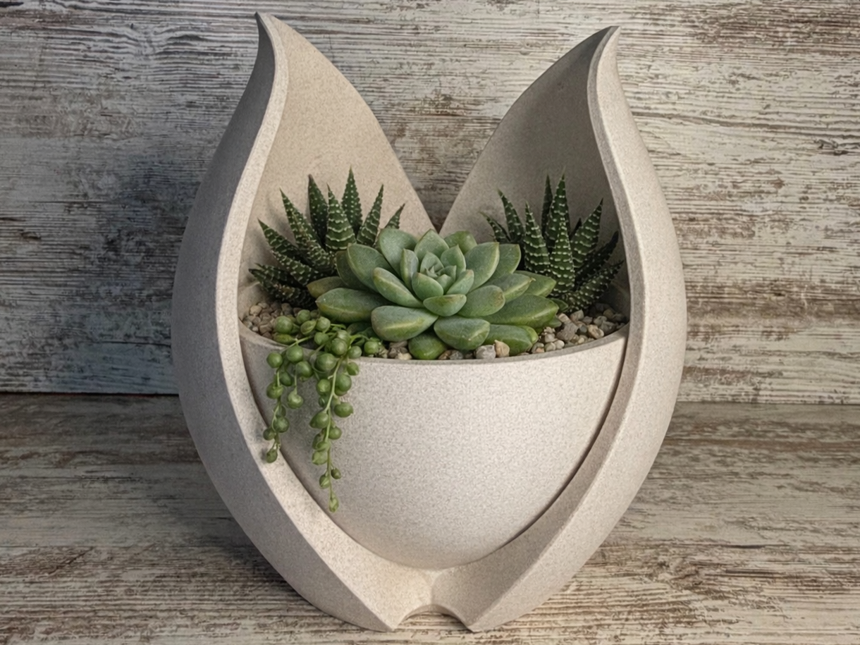 Blooming Tulip Planter