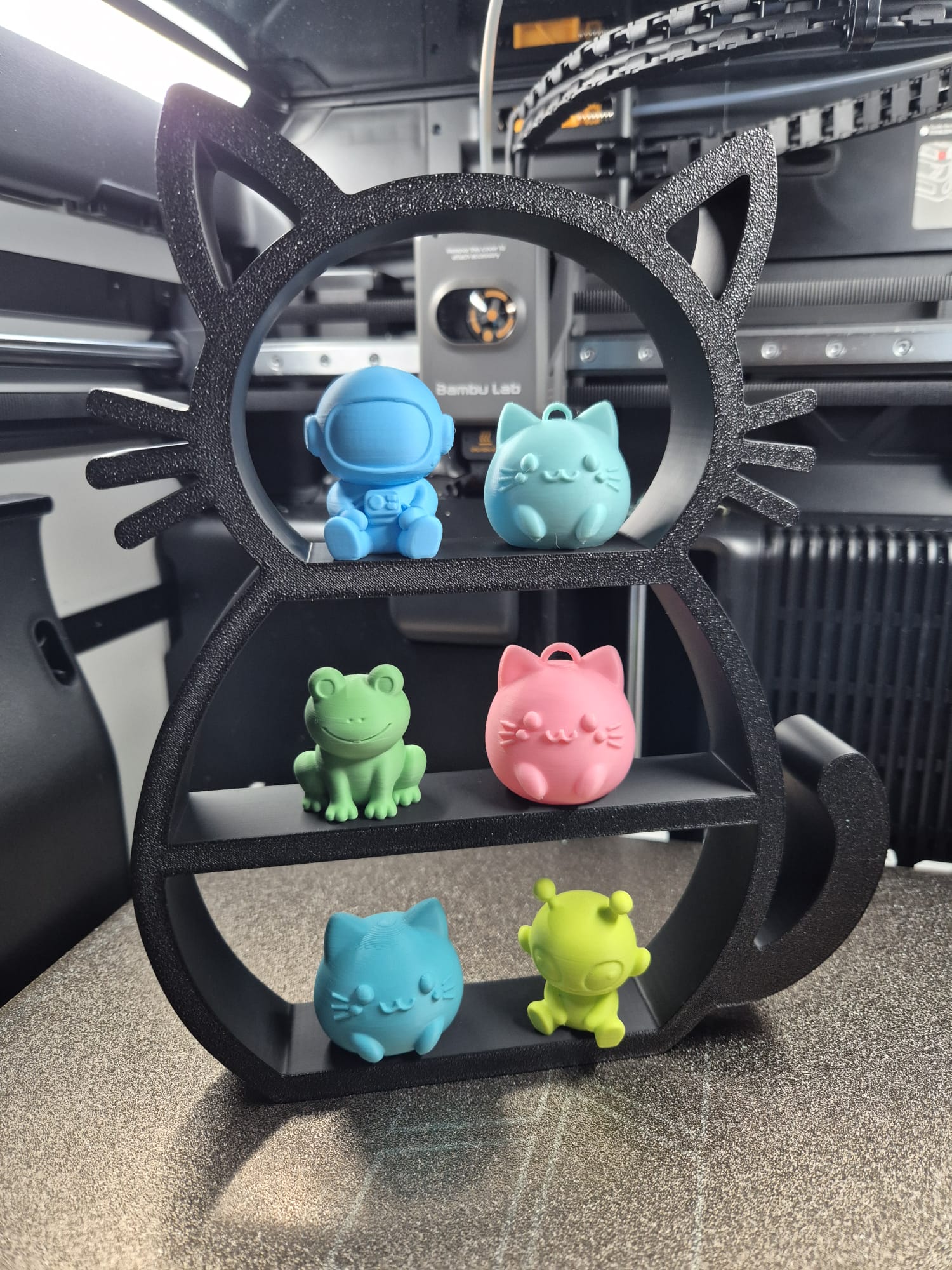 Foto 12