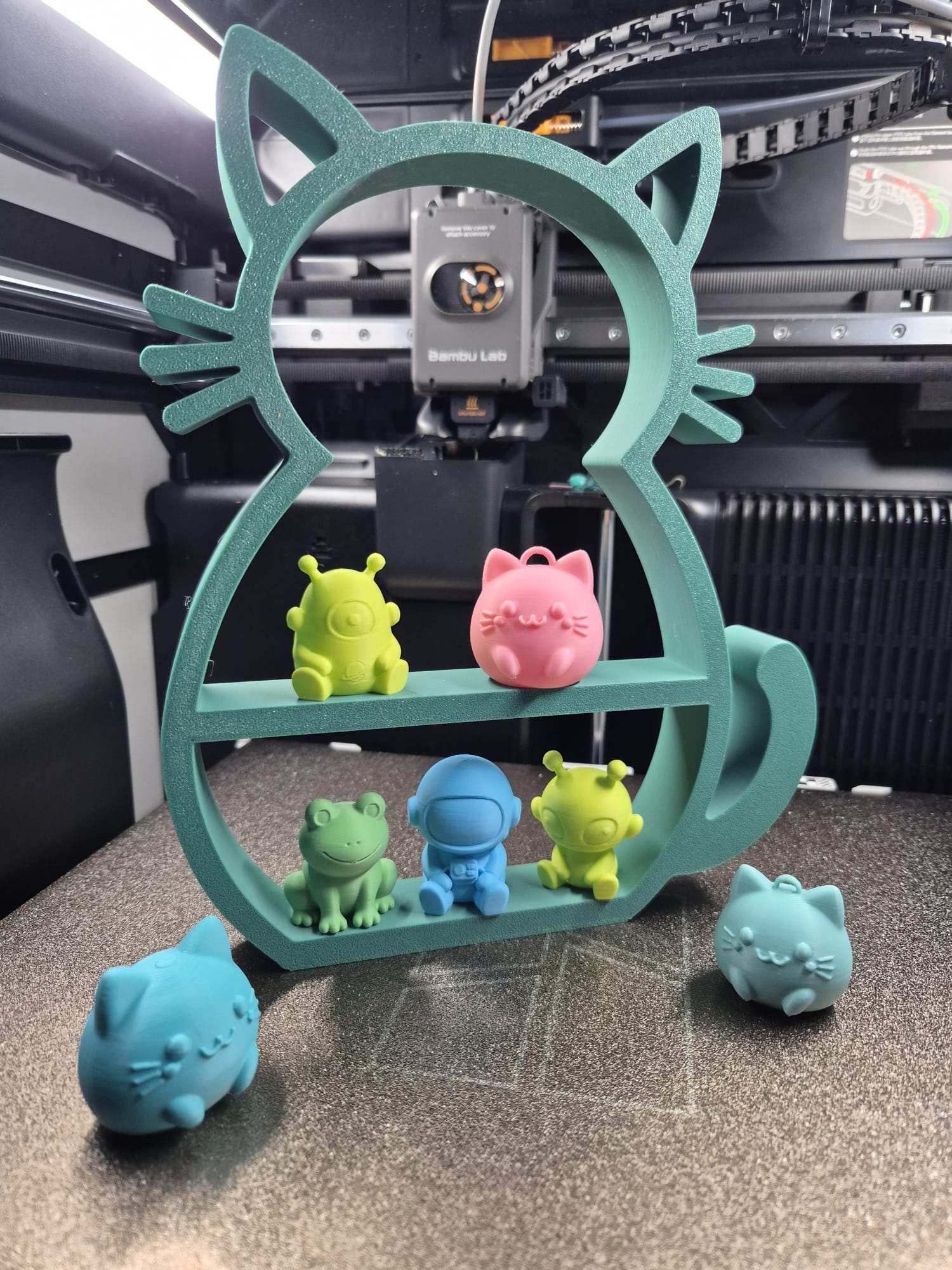 Foto 11