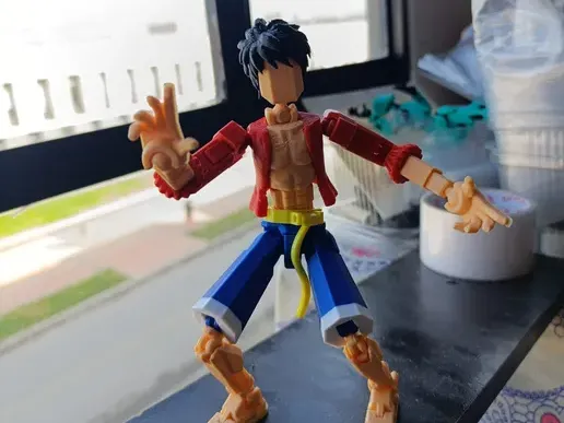 dummy luffy 13