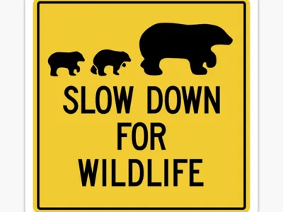Panneau "Slow Down For Wildlife"