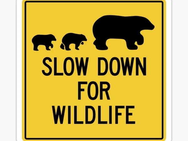 Panneau "Slow Down For Wildlife"