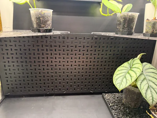 https://makerworld.bblmw.com/makerworld/model/USe6d66bf575010c/design/1845a8c23fecb0f9.jpeg