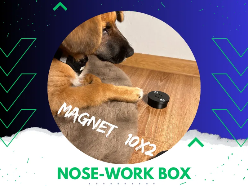Scent Training Containers for Dogs – Magnetic Base