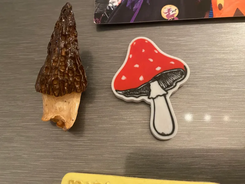 毒蝇伞冰箱贴， 幸运小蘑菇