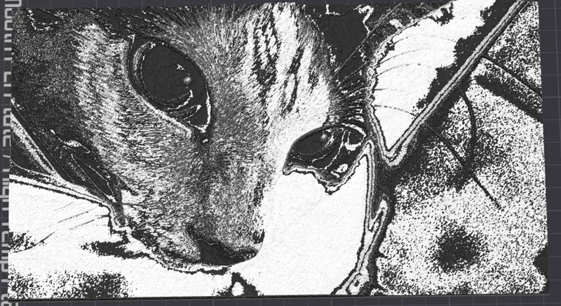 Cat Portrait in Black and white with dots