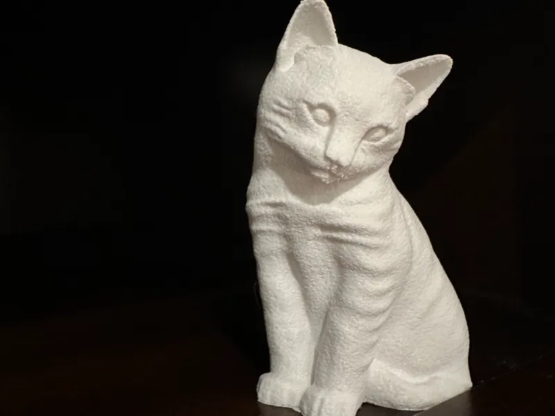 Fuzzy Cat