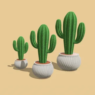 Decorative Little Cactus with Pot