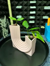 Drainage holes added for plant.