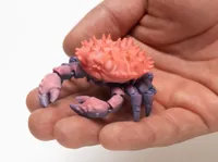 SingleColor Print Profile - crab