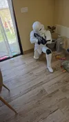 p1s