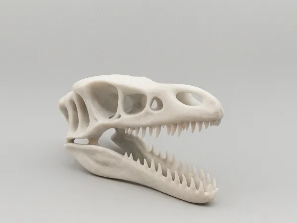 https://makerworld.bblmw.com/makerworld/model/USe6e7b1f4c9f912/design/2025-06-28_423b80a6cfde3.png