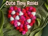 1 Tiny Rose