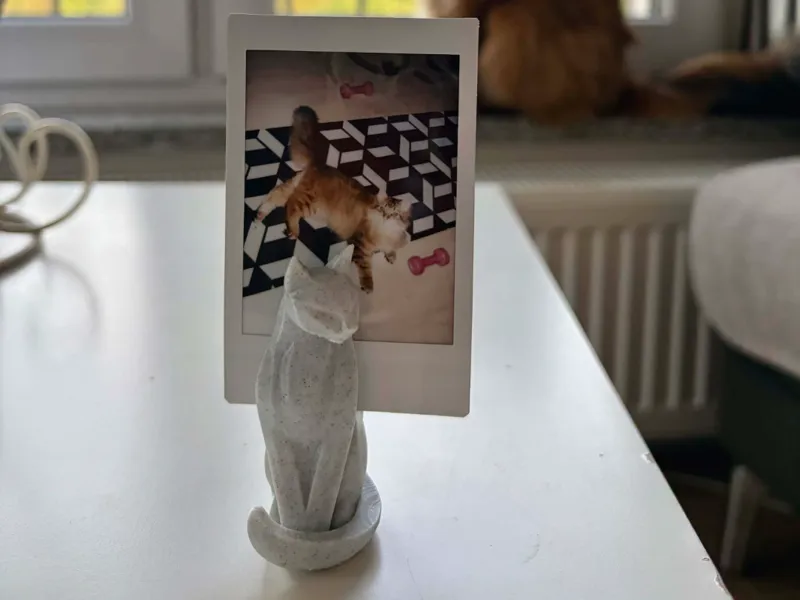 Sitting cat photo holder