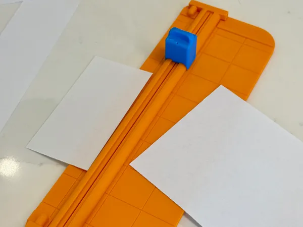 https://makerworld.bblmw.com/makerworld/model/USe6f6683a23faea/design/2025-05-03_34250c1dc8461.jpg