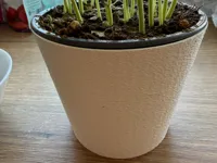 0.2mm layer, 2 walls, 10% infill