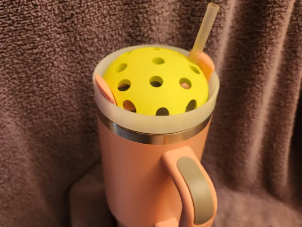 https://makerworld.bblmw.com/makerworld/model/USe6fcd774bbcaf8/design/2025-06-07_c426b2b0898448.jpg