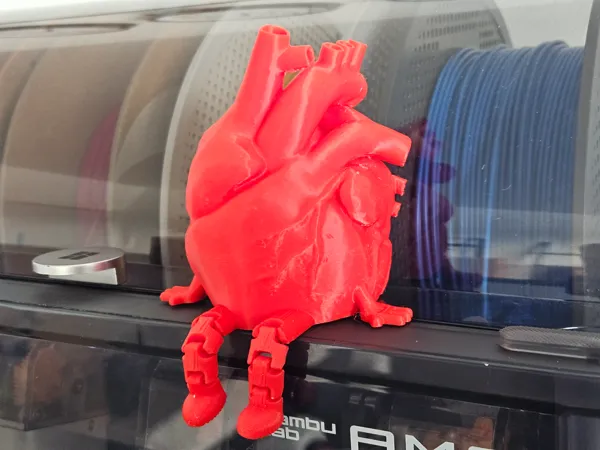 https://makerworld.bblmw.com/makerworld/model/USe6fe433ad88442/design/2025-11-27_c808135c1e9b1.jpg