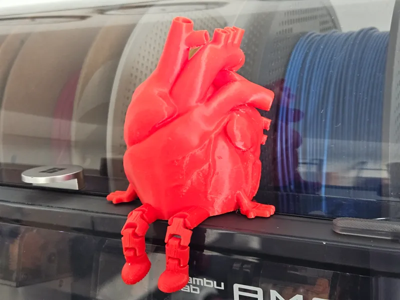 Realistic Heart Buddy with legs