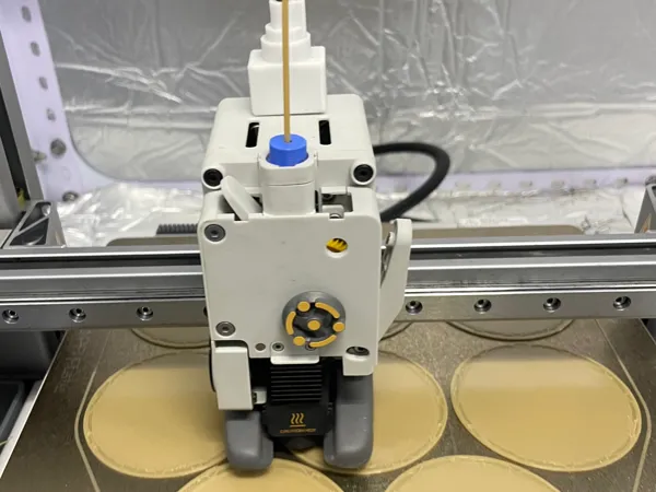 https://makerworld.bblmw.com/makerworld/model/USe705232bfd95bd/design/2024-04-08_96d4f2b5cbba9.jpg