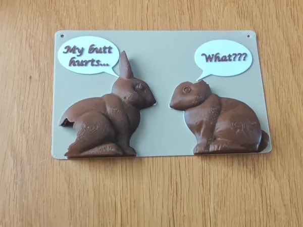 https://makerworld.bblmw.com/makerworld/model/USe70541dd37f936/design/5f8b438fed6f970c.jpg