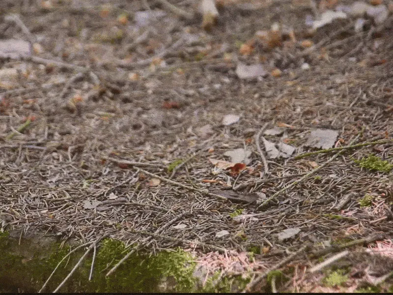 Small Terrain Adaptable Coffee Table for Camping view 2