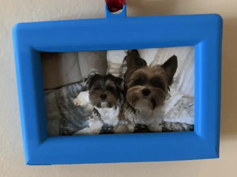 2x3 Picture Frame Ornament