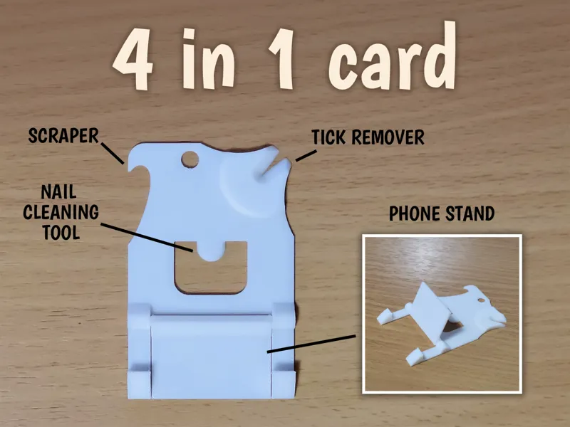 4 in 1 card