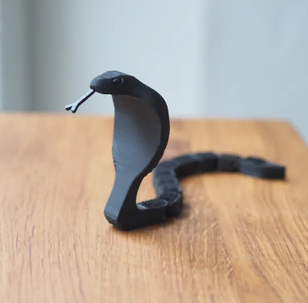 https://makerworld.bblmw.com/makerworld/model/USe70bc2ed45a51d/design/2025-01-06_220da902645f4.jpg