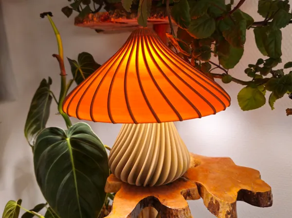 https://makerworld.bblmw.com/makerworld/model/USe70f95fa0c6f89/design/2024-11-18_7689b299b19ab.jpg
