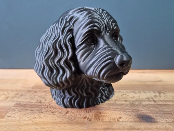 https://makerworld.bblmw.com/makerworld/model/USe71040b611dc2f/design/2025-05-28_6756f78171e778.jpg