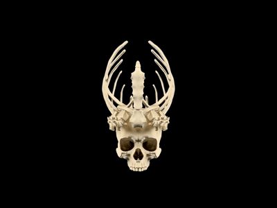 Bone Crown - Life Size