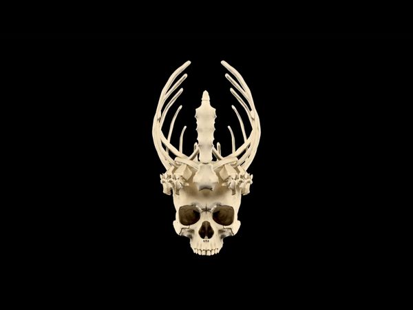 https://makerworld.bblmw.com/makerworld/model/USe710d3391c46c3/design/2025-10-24_55f000725e86f8.gif