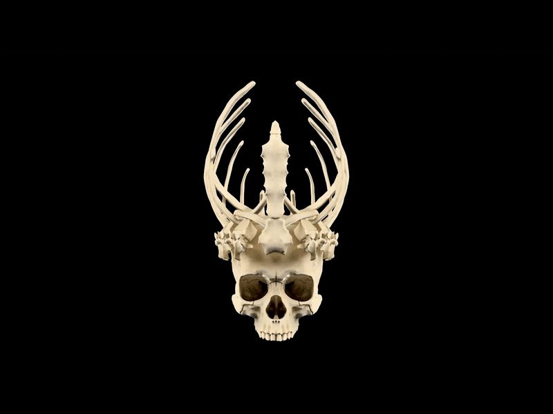 Bone Crown - Life Size