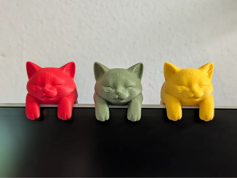 Monitor Katze