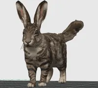 Cat Rabbit 0.2mm layer, 2 walls, 15% infill