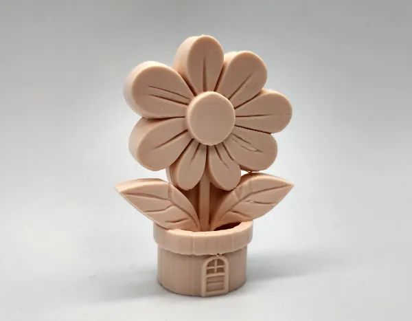 https://makerworld.bblmw.com/makerworld/model/USe715b258be92d4/design/2025-02-26_pjkcx79579go.jpg