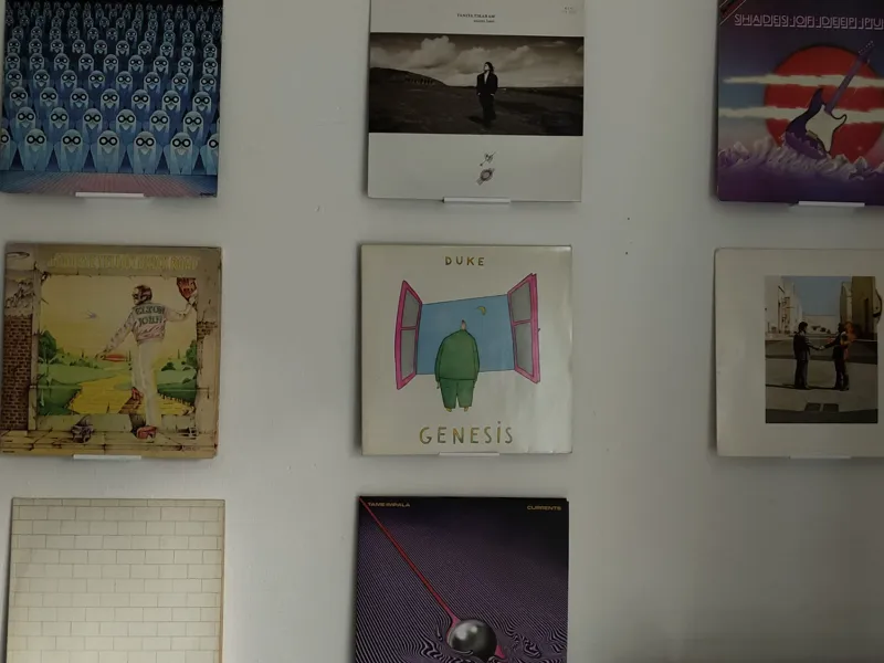 Wall Mount Vinyl Holder LP minimalistic easy print