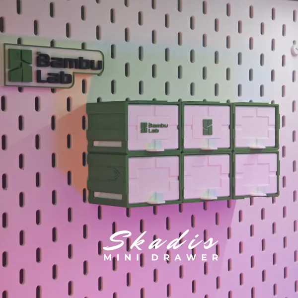 https://makerworld.bblmw.com/makerworld/model/USe71a45950f09f2/design/2024-12-15_d62d39d7162fd.png