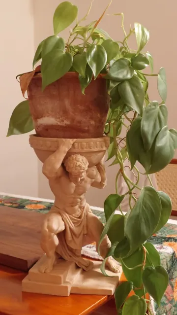 Maceta decorativa: Atlas Decorative Planter Stand — vista de referencia 4