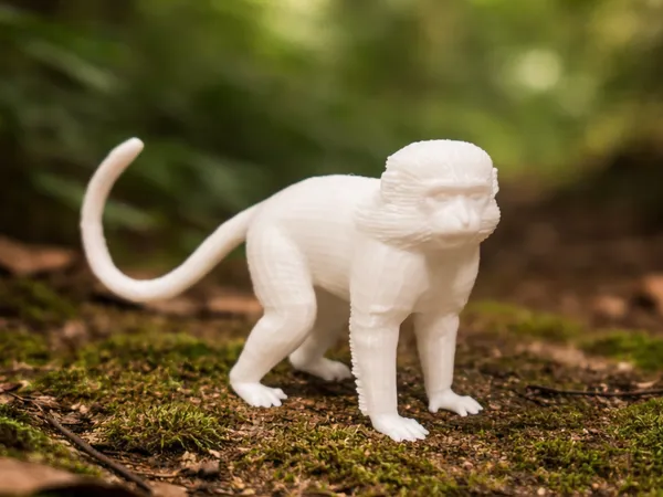 https://makerworld.bblmw.com/makerworld/model/USe71b17809d7677/design/34d3bb1ed167de05.png