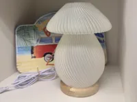 0.2mm layer, 1 walls, 0% infill vase mode