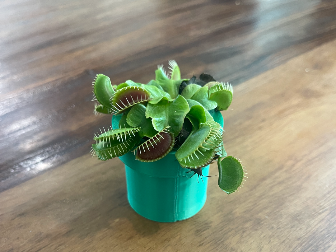 mario plant pot