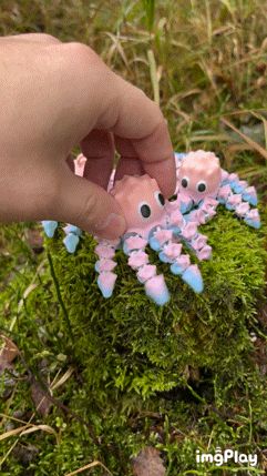 Baby Mirage Octopus