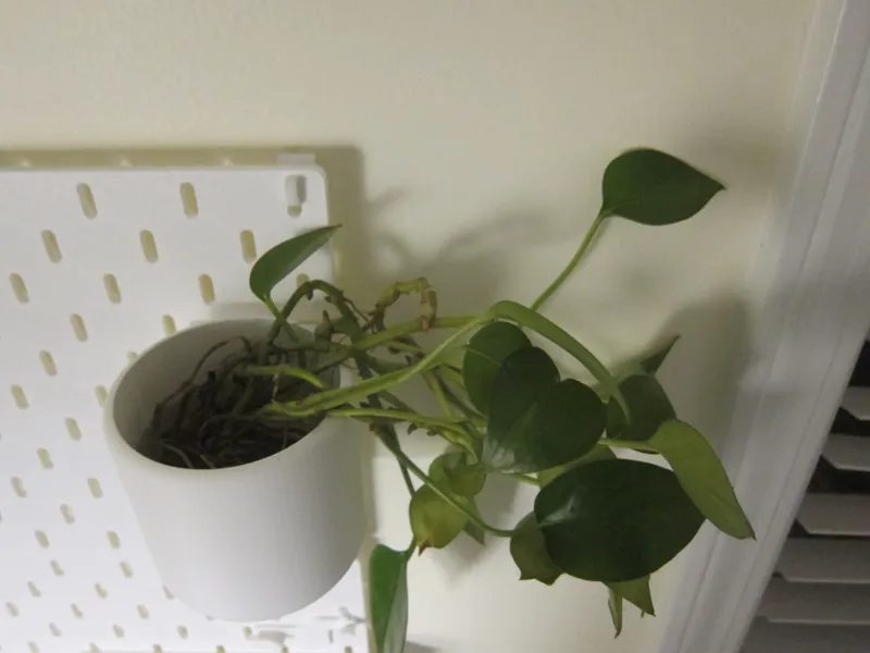Skadis Plant Pot