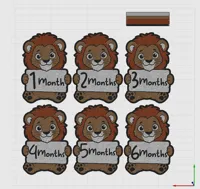 Smaller Size, 70x100x3mm