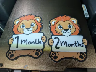 Lion Themed Baby Milestone Markers